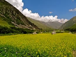 HIMACHAL CAB PACKAGE 